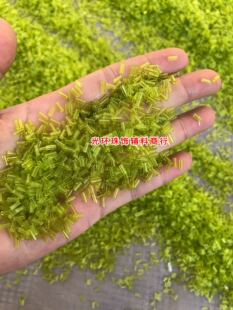 DIY材料4.5mm-12mm透明草绿色管珠玻璃浅绿色珠管手工管子饰品