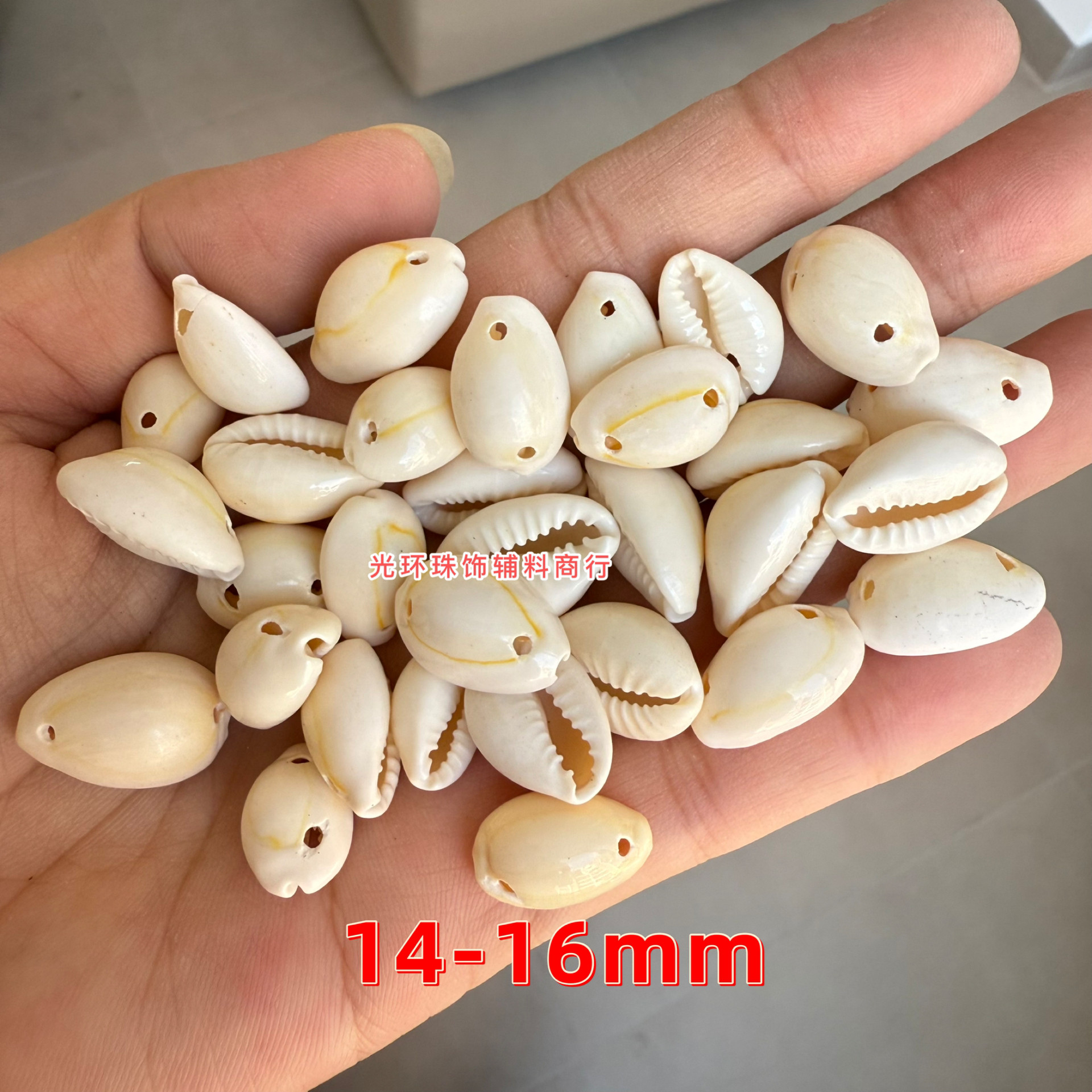 带孔天然装饰金边海螺壳双孔小贝壳手工DIY项链手串服装配饰材料图片
