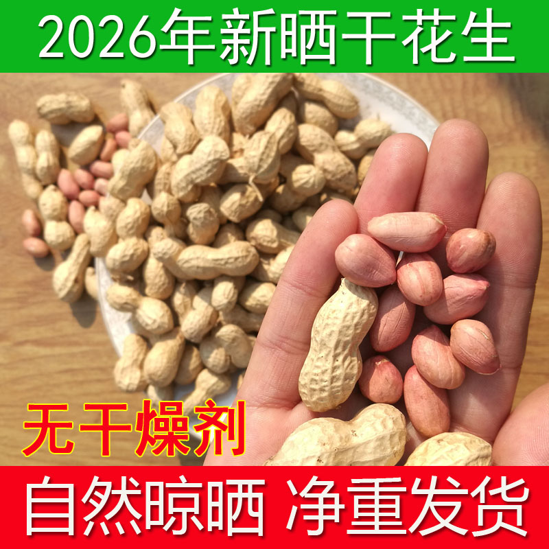 带壳花生河南晒干带皮花生图片