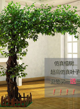 仿真植物布景定做实木树干