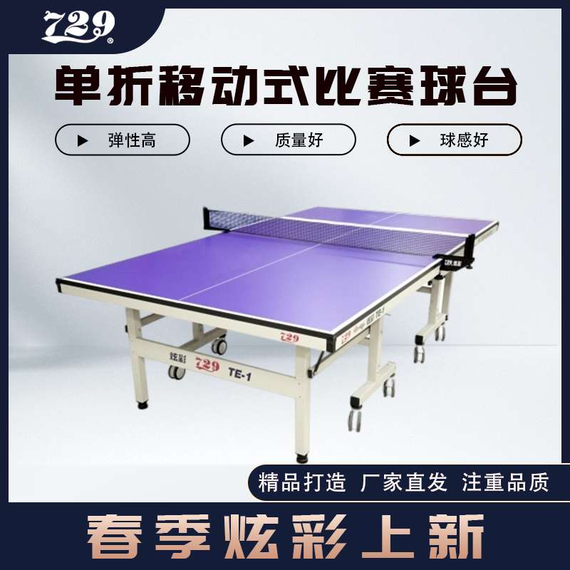 729TE-1球台729炫彩乒乓球台