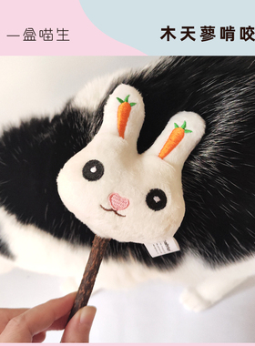 磨牙棒猫咪专用逗猫用品玩具木天蓼猫薄荷咬牙棒洁牙零食自嗨解闷