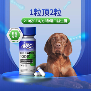 mag布拉迪益生菌犬用狗狗调理肠胃呕吐软便拉稀腹泻宠物幼犬专用
