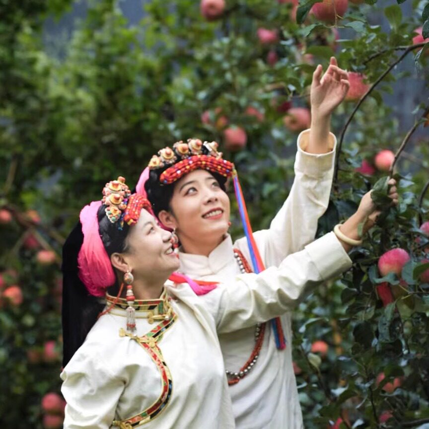 正宗四川甘孜丹巴高原“美人脆”苹果新鲜现摘现发顺风包邮
