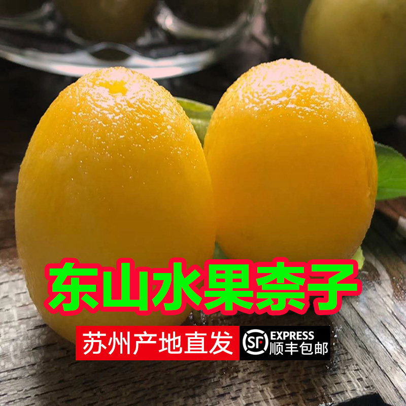 苏州东山特产柰子紫李黄李时令水果奈子孕妇李子超甜顺丰包邮