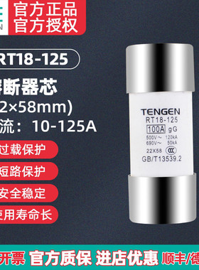 TENGEN天正 RT18-125熔断器 RT14-63保险丝 RT19 RO17熔芯22*58MM