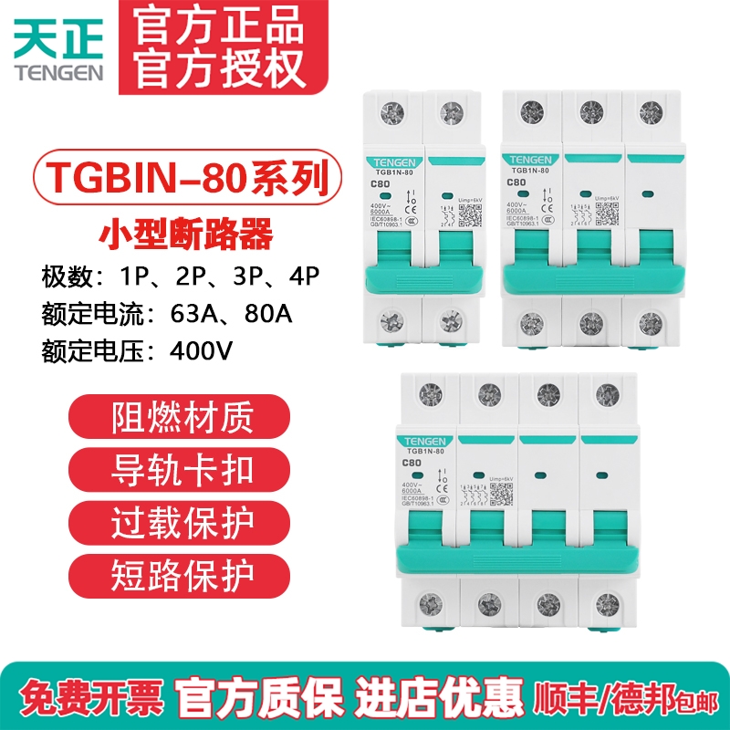 天正电气小型断路器TGB1N-80