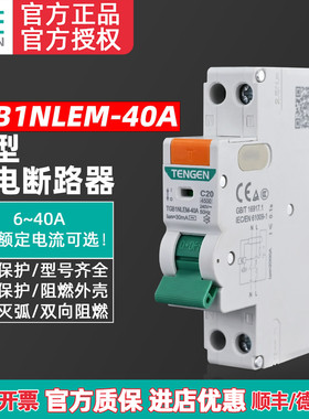 天正电气 TGB1NLEM-40AS漏保开关小型漏电断路器1P+N单相电闸家用