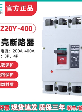 天正 DZ20Y-400/3300 400A 塑壳断路器 350A 250A 315A 空气开关