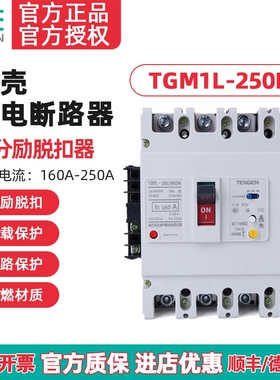 天正TGM1L-250L/4310 3N310漏电开关断路器带消防分励脱扣器200A