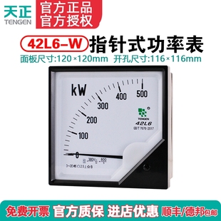 指针式 功率表250KW400KW600KW可定制 42L6 天正电气功率表仪表
