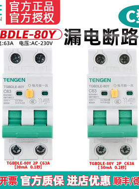 TGBDLE-80Y漏电保护器2P家用