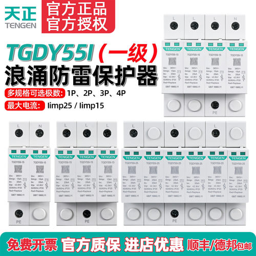 天正浪涌保护器TGDY55I