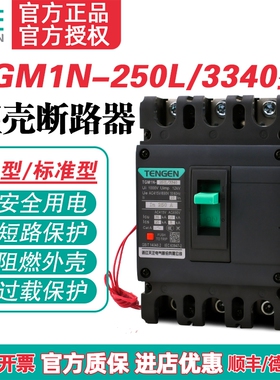 TENGEN天正TGM1N-250L/3340 250A塑壳断路器 250A空气开关3P 380V