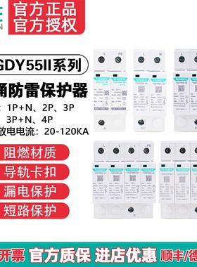 天正 TGDY55II11浪涌电涌保护器防雷避雷器2P/3P+N/4P 2040KA60KA