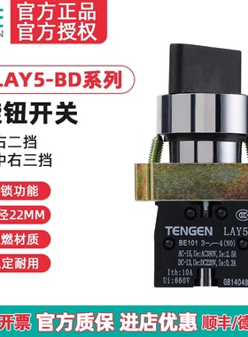 TENGEN天正 LAY5-BD21 BD25 BD33 BD53 旋钮开关 NP2旋转按钮开关