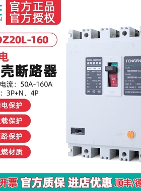 TENGEN天正 DZ20L-160/3N300 160A漏电塑壳断路器三相四线380开关