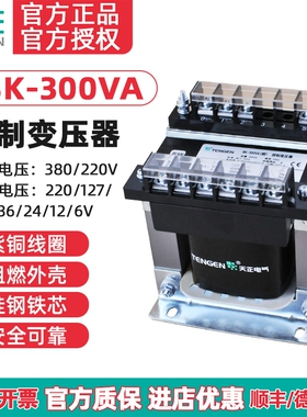 TENGEN天正 BK-300VA机床控制变压器 300W 380 220 110 36 24126V