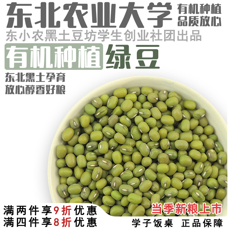 东北皮薄新鲜1斤发豆芽汤粥材料大粒新 有机绿豆