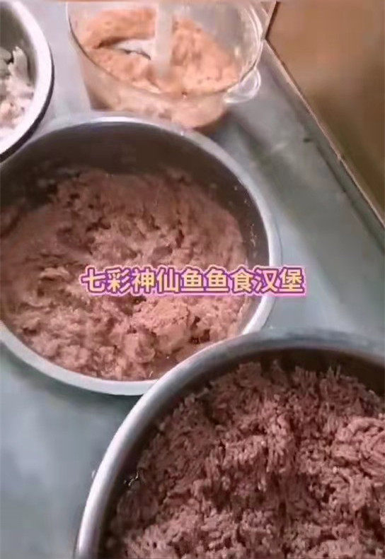 七彩神仙鱼鱼食牛心汉堡增色开口观赏鱼饲料