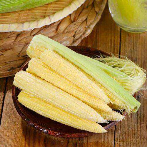 新鲜现摘玉米笋蔬菜当季带壳甜玉米笋玉米芯小玉米棒蔬菜商用批发