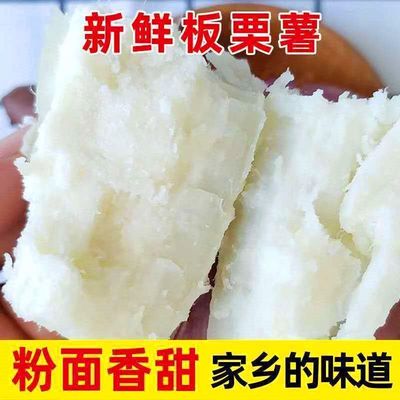 正宗白心板栗薯板粟红薯白心红薯粉糯干面地瓜当季番薯