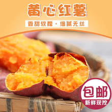 净重9斤装新鲜现挖黄心红薯烤番薯地瓜农家自种香甜软糯多省包邮