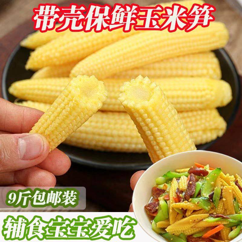 新鲜甜玉米蔬菜当季迷你玉米棒水果玉米芯营养现摘包邮批发