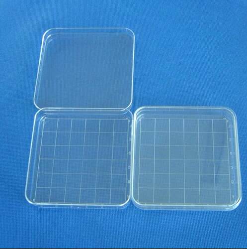 10×10cm 100mm*100mm 方形塑料培养皿 带刻度线 2分隔 10套/包