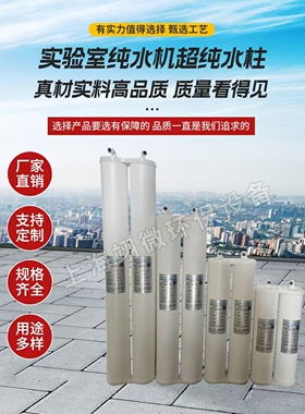 实验室国产/陶氏罗门哈斯6150纯化柱检验科纯水机树脂柱预处理柱