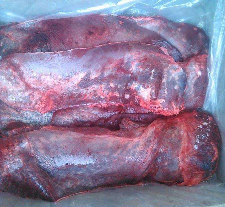 牛脾脏国产250g/500g 熟自制用食材补充微量元素狮虎小铺