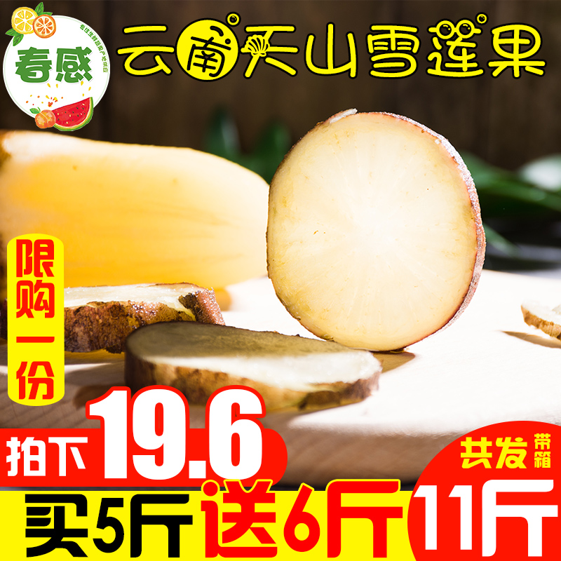 云南天山雪莲果11斤带箱包邮新鲜当季新鲜水果脆甜红泥沙雪莲10
