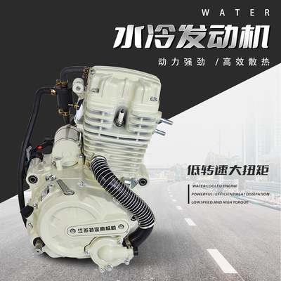 三轮车原装发动机海啸250捍威300