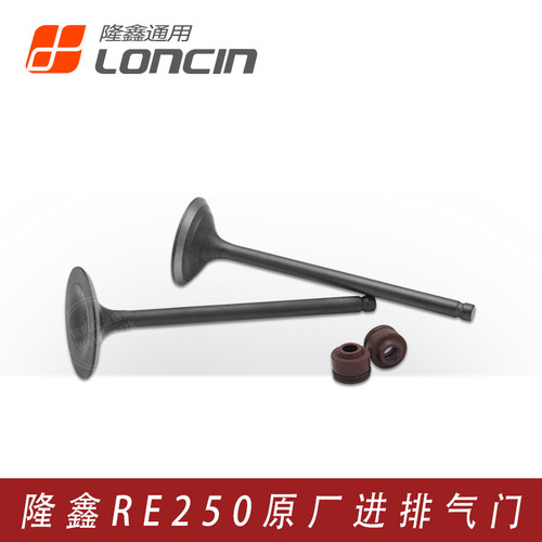 隆鑫魔术师RE250发动机气门套件