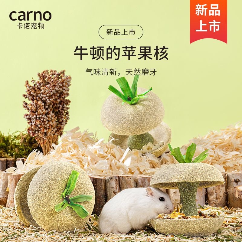 carno卡诺苹果核仓鼠磨牙棒零食小金丝熊磨牙石玩具专用造景用品-封面