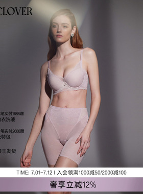 兰卡文魅力光影系列3/4洞洞杯文胸内衣小胸聚拢LC11XA1
