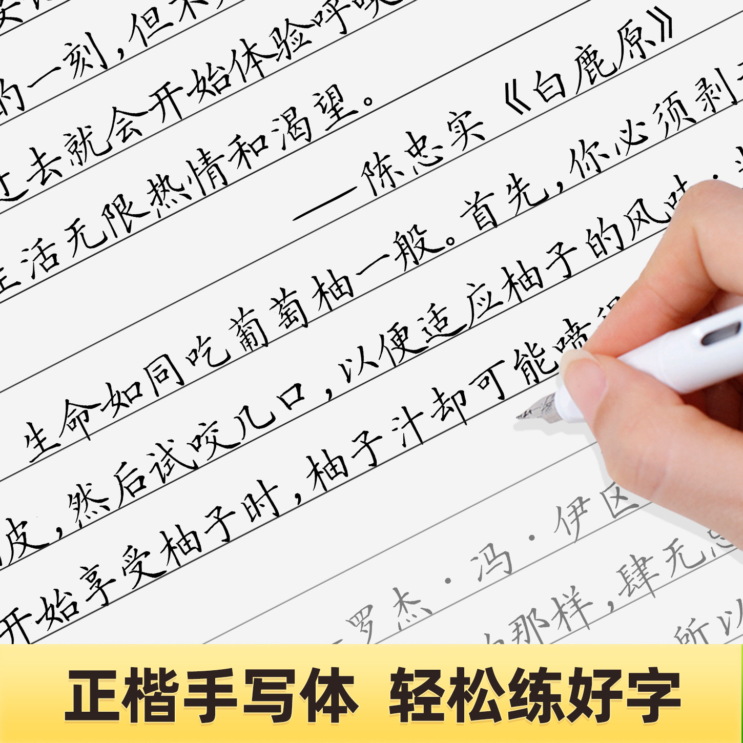 新手轻松入门硬笔书法正楷字帖成人练字学生成人通用字帖精选美文