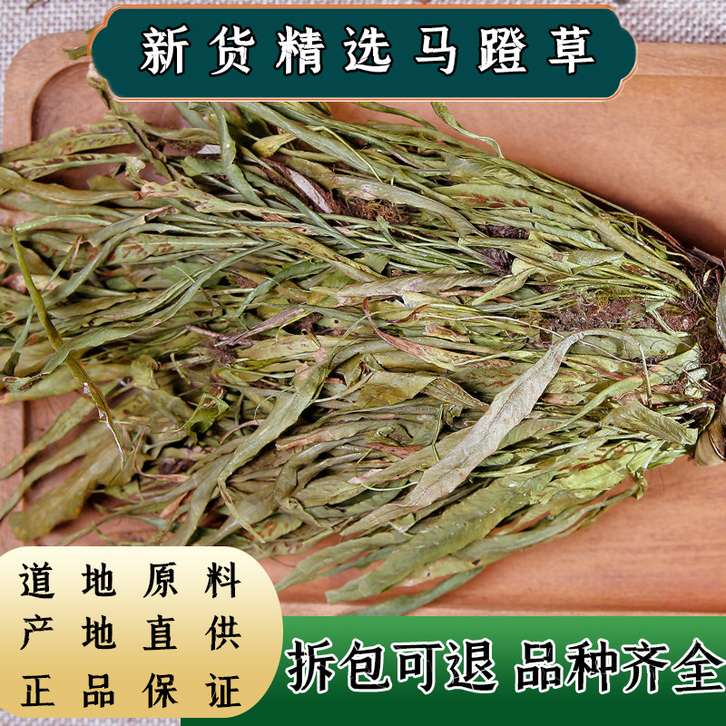 【任选3件包邮】马蹬草 中药材  新鲜干货 还阳草 过桥草 小石韦
