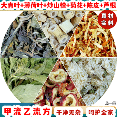 大青叶薄荷炒山楂陈皮菊花芦根