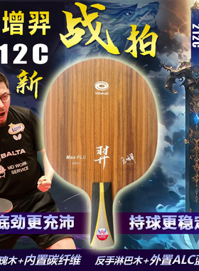 王增羿专业高级乒乓球底板球拍特制碳素纤维快攻型外置直拍横拍