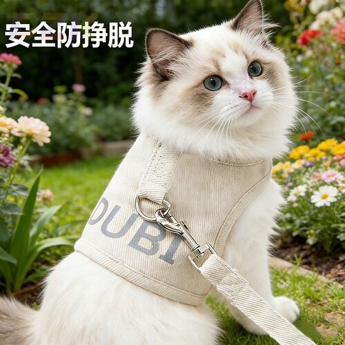 猫咪牵引绳防挣脱外出专用背心式溜猫绳猫咪防跑绳神器幼猫胸背t9