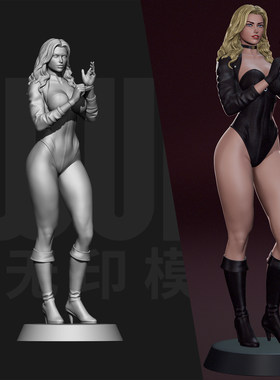 DC 黑金丝雀 黛娜 1/24GK 白模手办 18比例树脂3D打印模型 7683