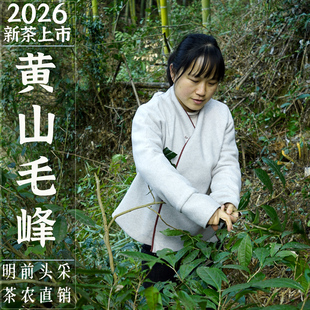 2026新茶正宗黄山毛峰明前头采高山兰香荒野茶特级黄山绿茶叶盒装