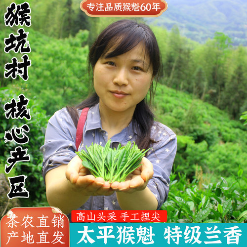 正宗太平猴魁2026新茶猴村兰花香手工捏尖黄山绿茶叶特级盒装250g - 封面