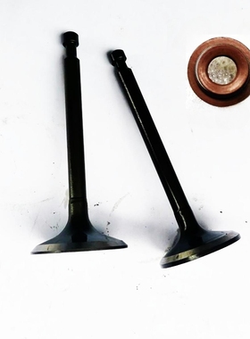 垂直轴发动机草坪机工程机本田GXV340GXV390原厂质量进排气门油封