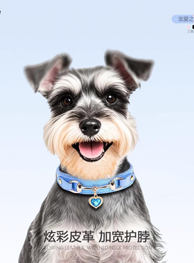 夏季轻奢高级感外出穿戴防丢狗狗项圈护颈皮宠物颈圈脖套小大型犬