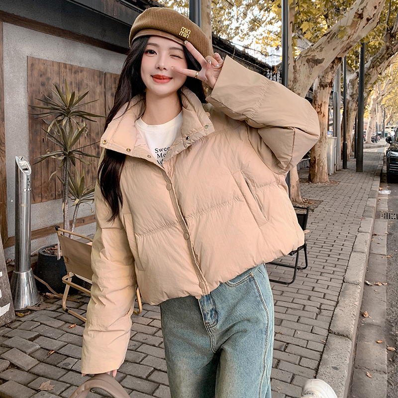 档口现货  小个子立领短款羽绒服2C233-8853-P185-K298