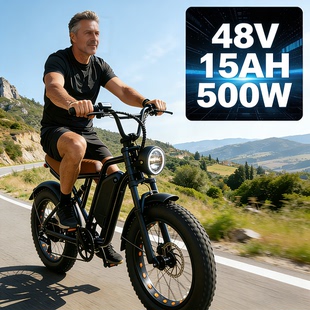 ebike电动自行车4.0轮胎欧洲20寸胖胎沙滩雪地越野锂电助力车