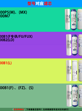 海尔施特劳斯净水器300B1(F)(FU)(FUX)(L)/300B2(LD)直饮机心滤芯