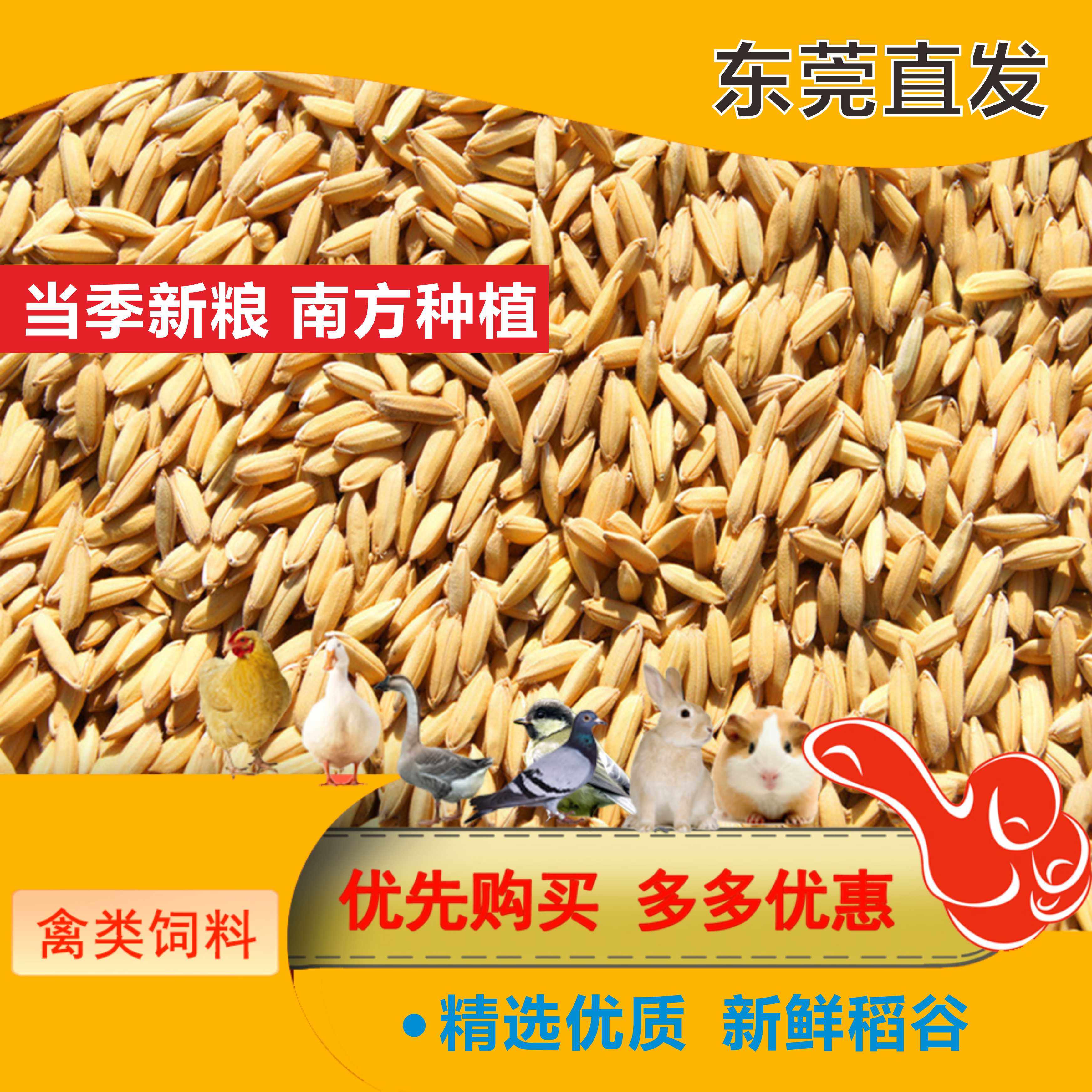 带壳稻谷饲料10斤喂鸡鸭鹅鸽子鸟食圈养禽类新原粮宠物10kg包邮